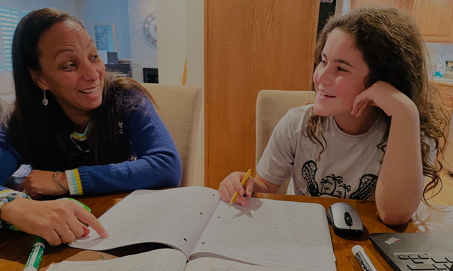 Mainstay Academics Academic Coaching and Consulting Services